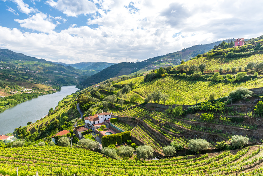 Region Douro