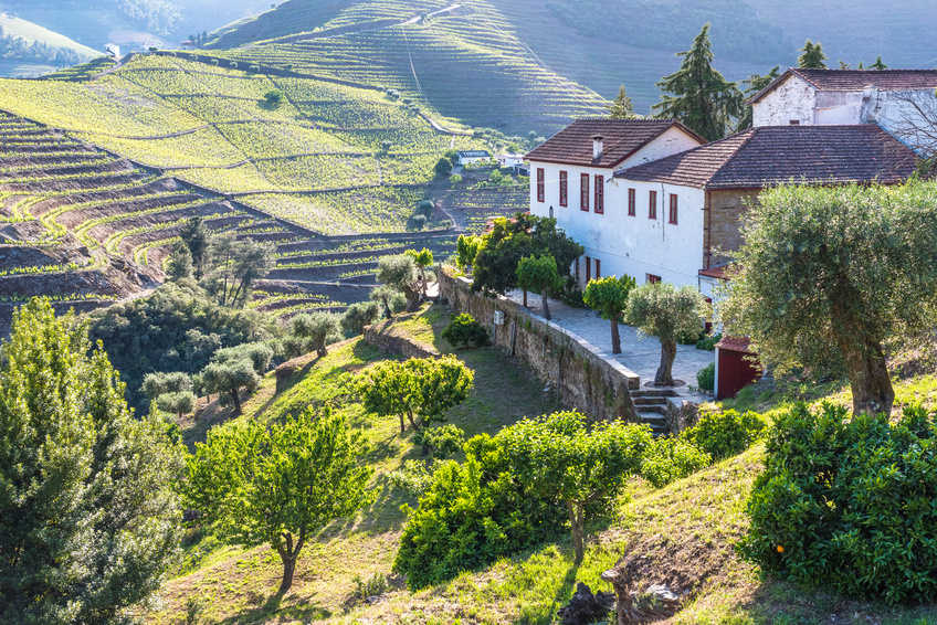 Region Douro