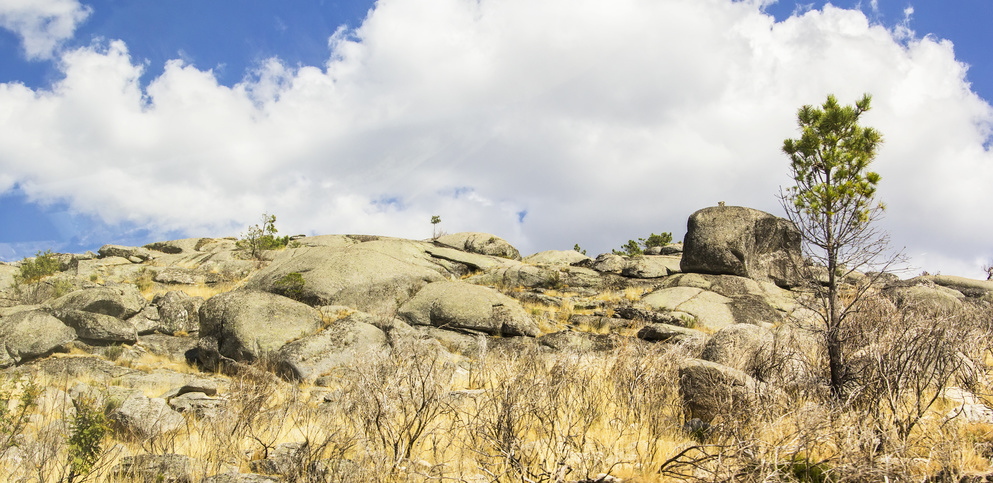 Serra da Estrela