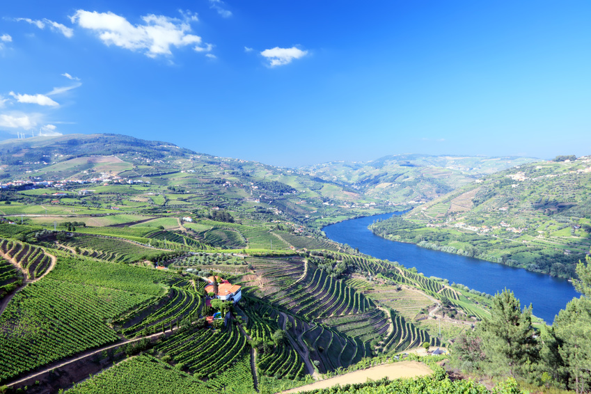 Region Douro